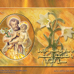 Graphic Desgin Sample